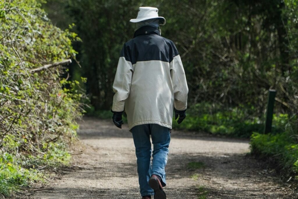 Active aging after 50 through daily walking and mobility